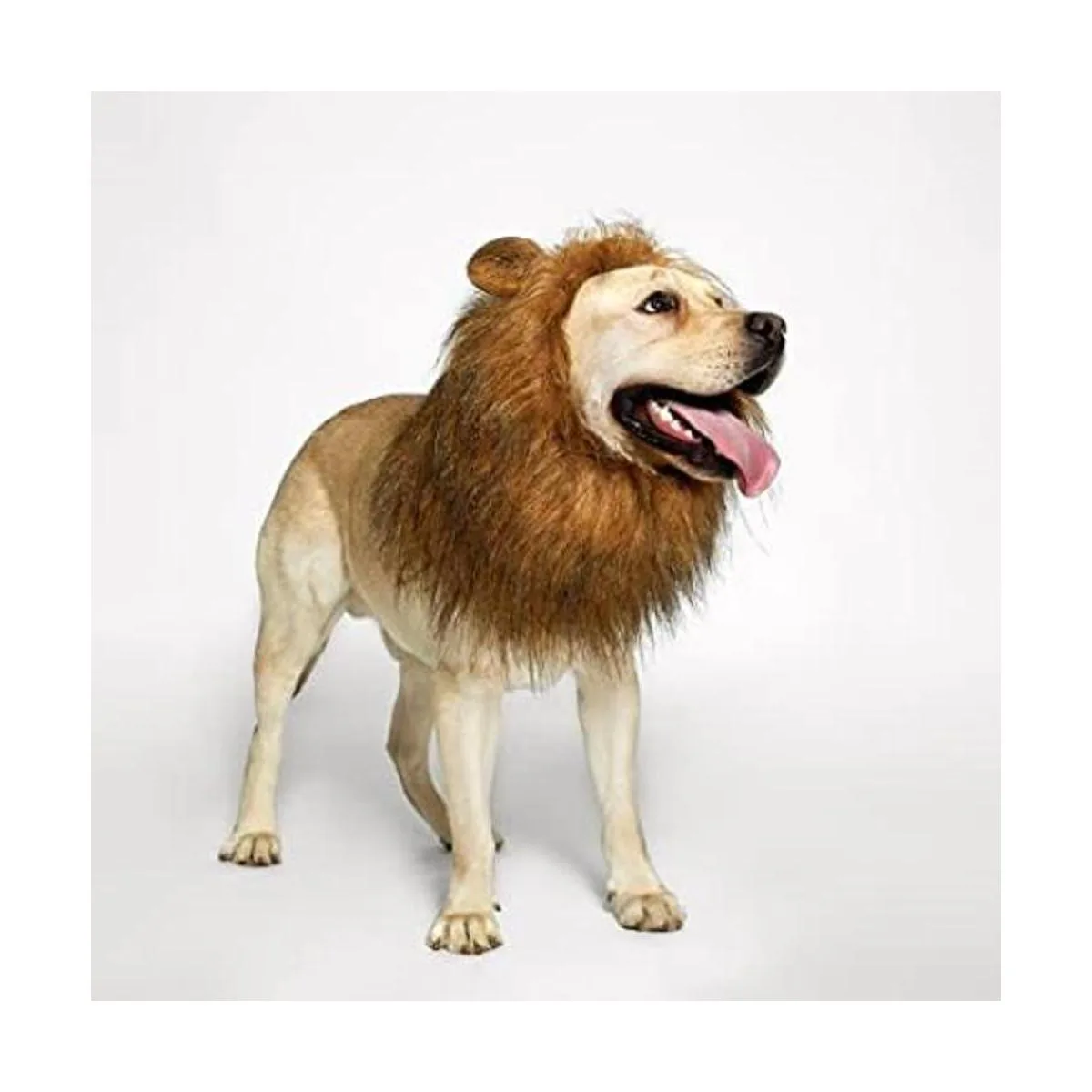 TOMSENN Melena de león para perro melena de león realista_1