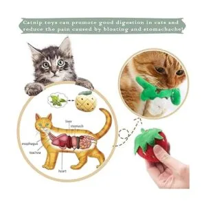 Pai Sence Juguetes de gato para gatos de interior_6
