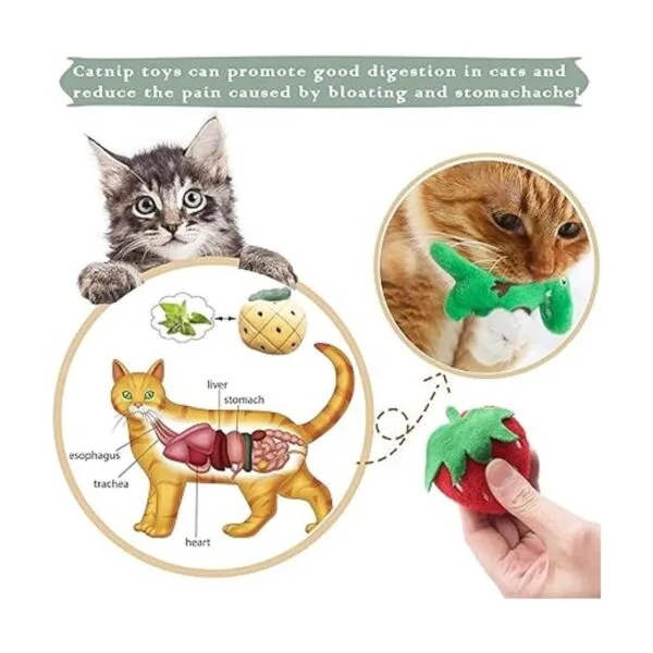 Pai Sence Juguetes de gato para gatos de interior_6