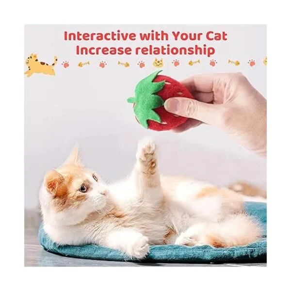 Pai Sence Juguetes de gato para gatos de interior_7