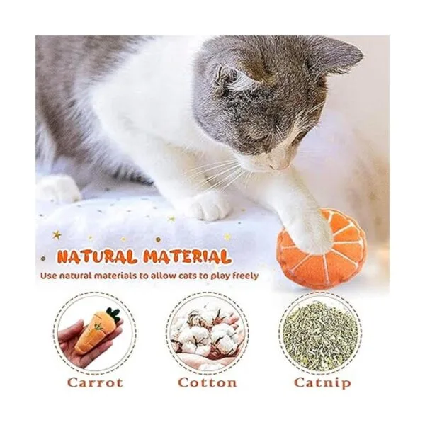 Pai Sence Juguetes de gato para gatos de interior_5
