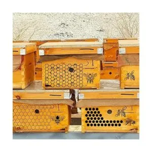 8 plantillas de abeja para pintar sobre madera plantilla_2