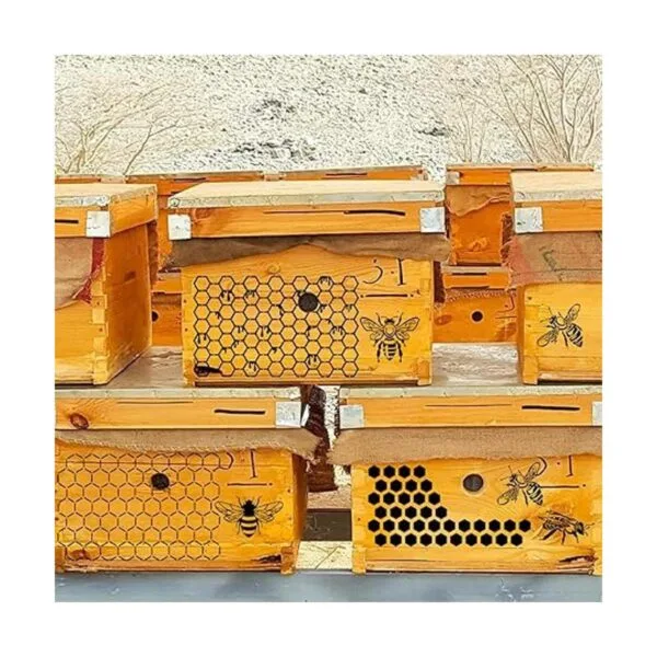 8 plantillas de abeja para pintar sobre madera plantilla_2