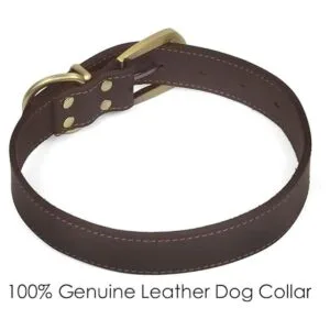 Collares clásicos para mascotas collar de cuero ajustable_2