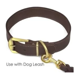 Collares clásicos para mascotas collar de cuero ajustable_5