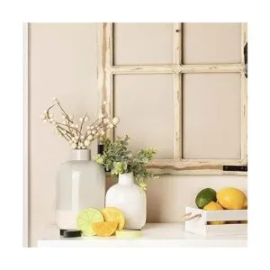 Bandeja con niveles de limón para decoración de frutas_7