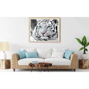 Pintura por números para adultos pintura al óleo de_2