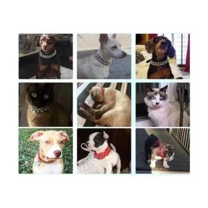 Collar de perro con púas de piel sintética suave con_3