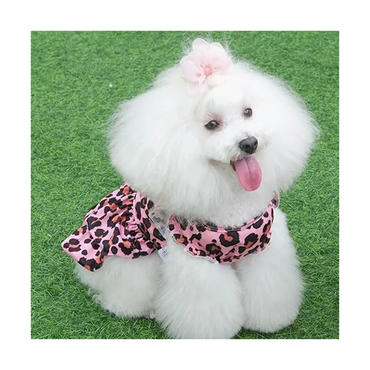 CuteBone Vestido para perro falda para cachorro traje de_5