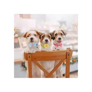 Paquete de 22 pajaritas para perro collar de flores_5