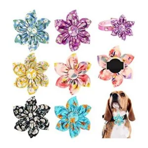 6 piezas de collar floral para perro collar de perro_1