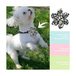 6 piezas de collar floral para perro collar de perro_4