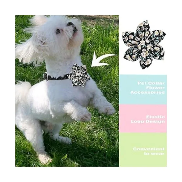 6 piezas de collar floral para perro collar de perro_4