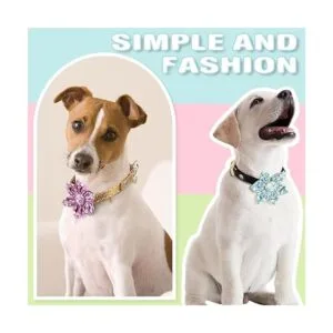 6 piezas de collar floral para perro collar de perro_5