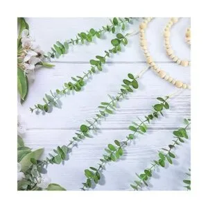 Decoración de pared bohemia de eucalipto colgante para_3