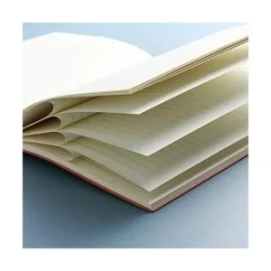 Cuaderno de cuero de Alicia en el país de las maravillas_5