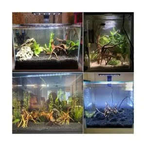 Tfwadmx Acuario Madera Natural Reptil Rama de Peces Tanque_2