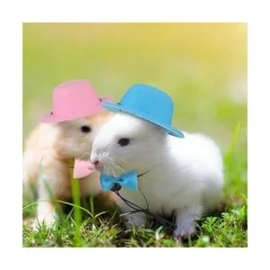 4 juegos de 8 piezas de ropa de conejillo de indias_7