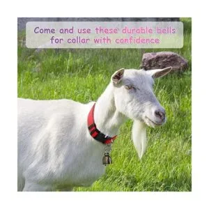 GINDOOR Paquete de 5 collares de cabra con campanas_7