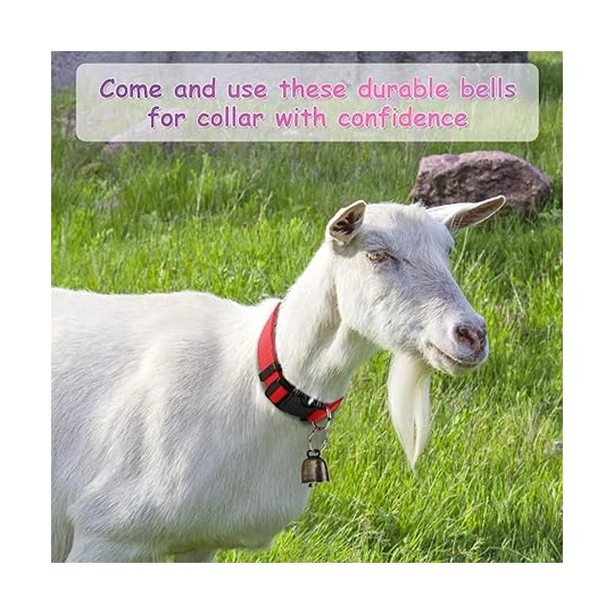 GINDOOR Paquete de 5 collares de cabra con campanas_7