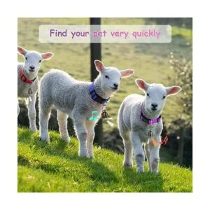 GINDOOR Paquete de 5 collares de cabra con campanas_6