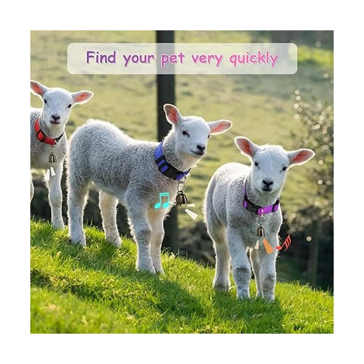 GINDOOR Paquete de 5 collares de cabra con campanas_6