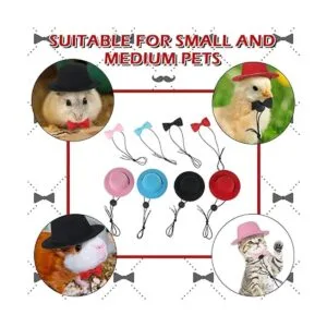 4 juegos de 8 piezas de ropa de conejillo de indias_6