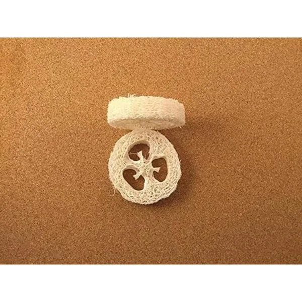 Lufa Luffa Premium rodajas rodajas de juego de 12 para_4