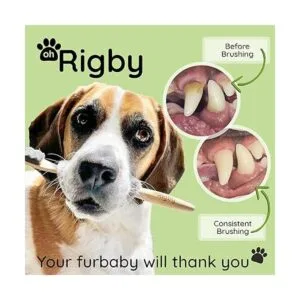 OH RIGBY Cepillo de dientes para perros 10000 cerdas_3