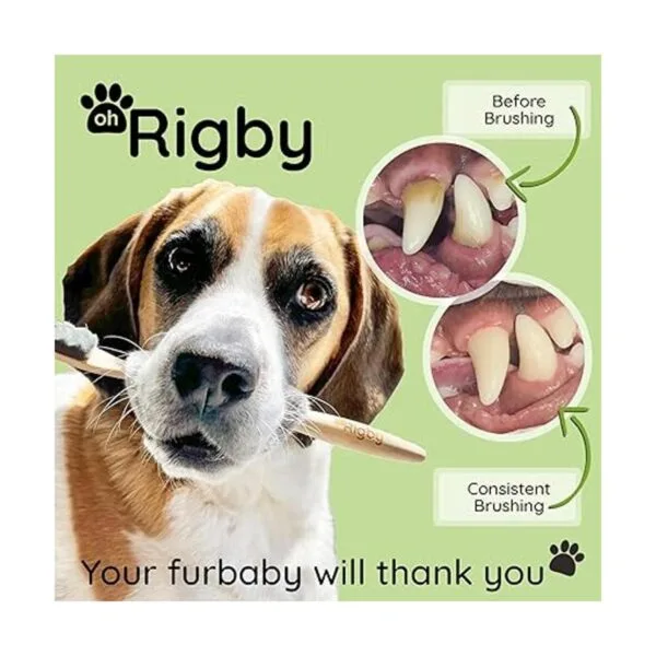 OH RIGBY Cepillo de dientes para perros 10000 cerdas_3