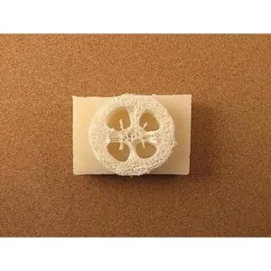 Lufa Luffa Premium rodajas rodajas de juego de 12 para_3