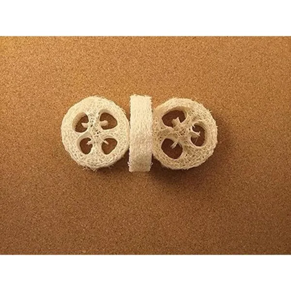 Lufa Luffa Premium rodajas rodajas de juego de 12 para_5