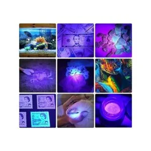 DARKBEAM Linterna UV de 395 nm recargable por USB lámpara_2