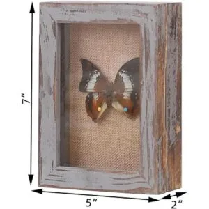 BECTSBEFF Marco de caja de sombra de 5 x 7 pulgadas caja_4