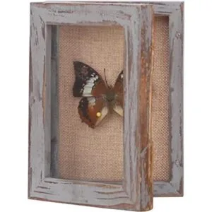 BECTSBEFF Marco de caja de sombra de 5 x 7 pulgadas caja_1