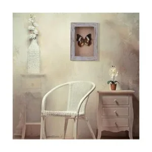 BECTSBEFF Marco de caja de sombra de 5 x 7 pulgadas caja_6