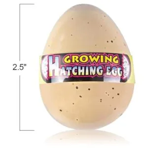 ArtCreativity Huevos de tortuga juego de 2 juguetes de_3