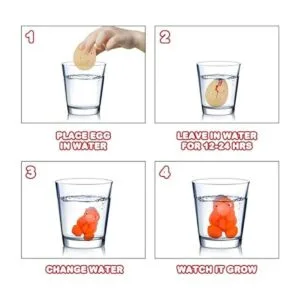 ArtCreativity Huevos de tortuga juego de 2 juguetes de_4