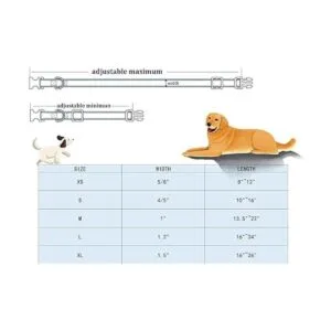 Lionheart Glory Collar de perro del día de San Patricio_7