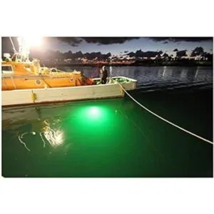 Lightingsky 12 V 10.8 W 180 LED 1080 lúmenes LED luz de_6