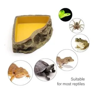 Comedero de reptiles cuenco de resina para reptiles_3