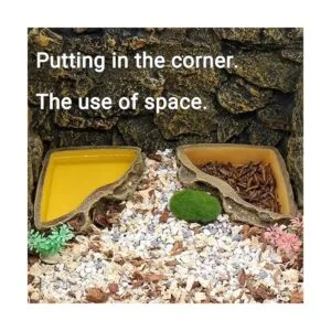 Comedero de reptiles cuenco de resina para reptiles_2