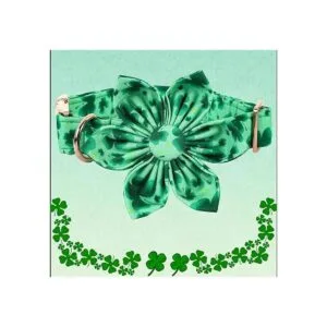 Lionheart Glory Collar de perro del día de San Patricio_2