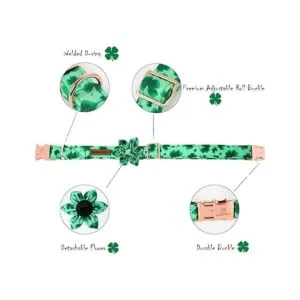 Lionheart Glory Collar de perro del día de San Patricio_4