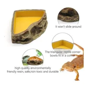 Comedero de reptiles cuenco de resina para reptiles_4