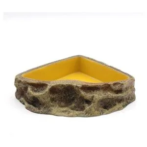 Comedero de reptiles cuenco de resina para reptiles_7