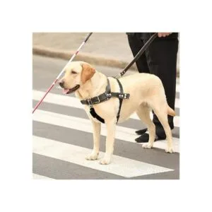 8 piezas de clip para collar de perro clip de seguridad_5