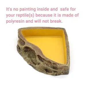 Comedero de reptiles cuenco de resina para reptiles_5