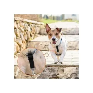 8 piezas de clip para collar de perro clip de seguridad_4
