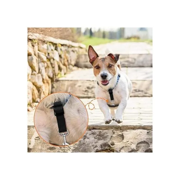 8 piezas de clip para collar de perro clip de seguridad_4
